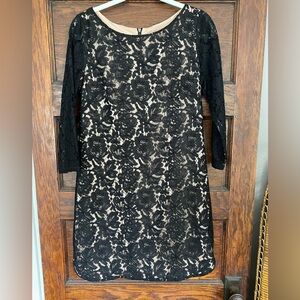 Vince Camuto lace 3/4 length sleeve dress